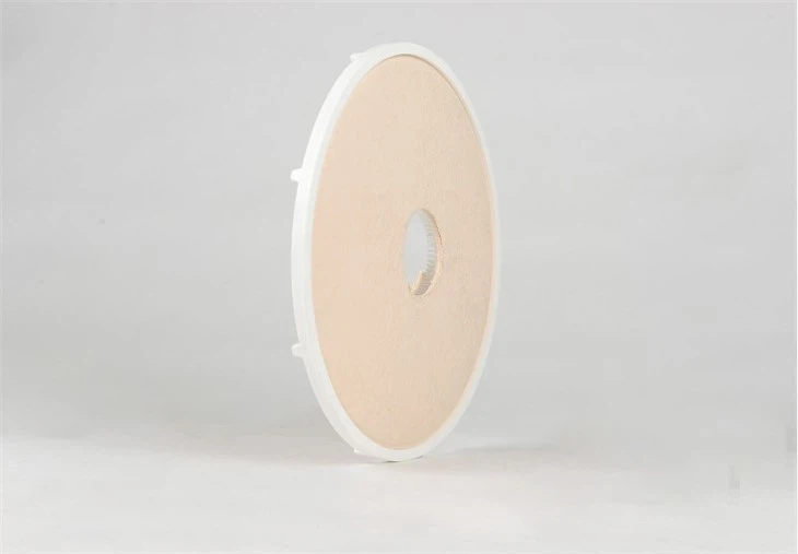 china Depth Filtration Capsule